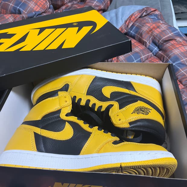 조던 1 하이 폴른