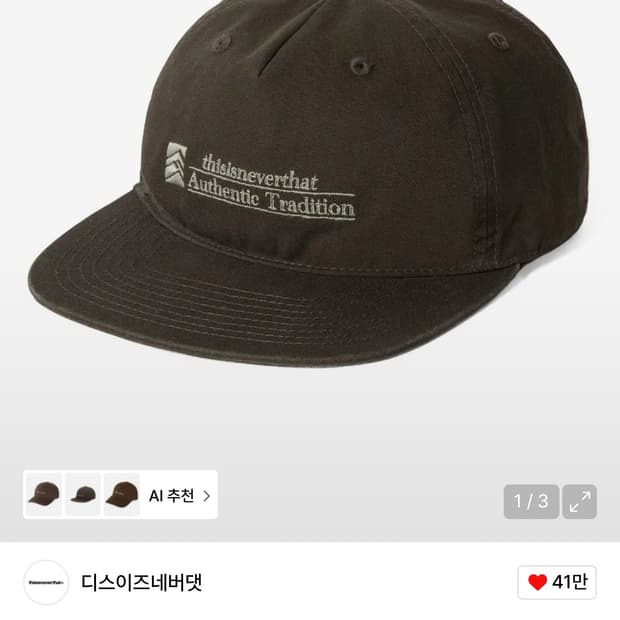 디스이즈네버댓 디네댓 모자