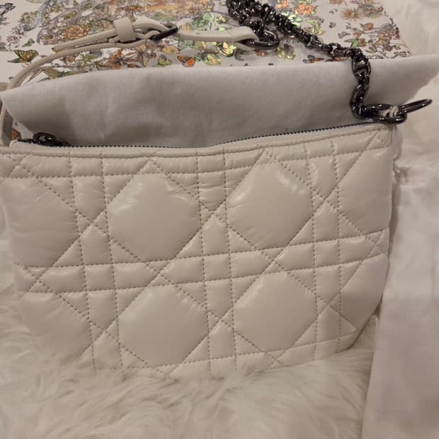 디올 카로 튤립  2022년 시즌백