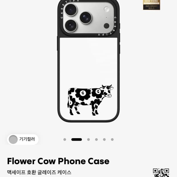 케이스티파이 케이스 17프로