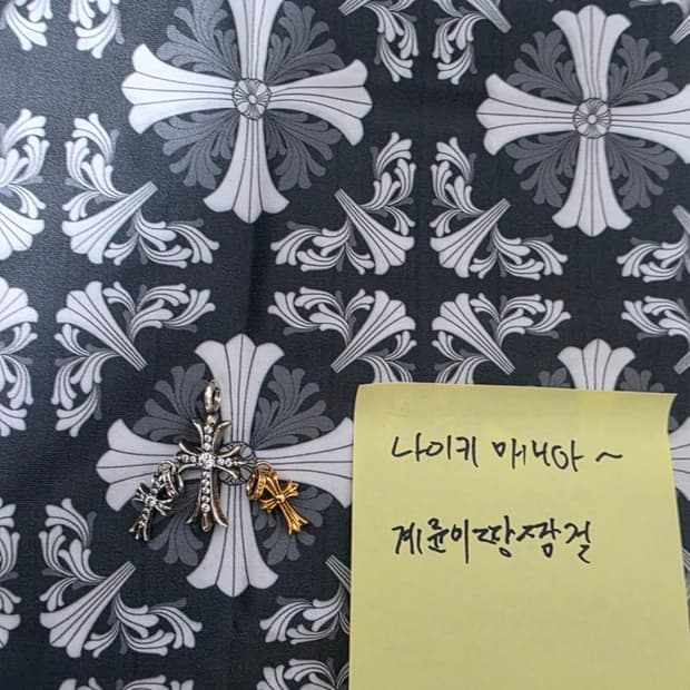 급처 풀파베타이니베이비펫 세트로팔아요