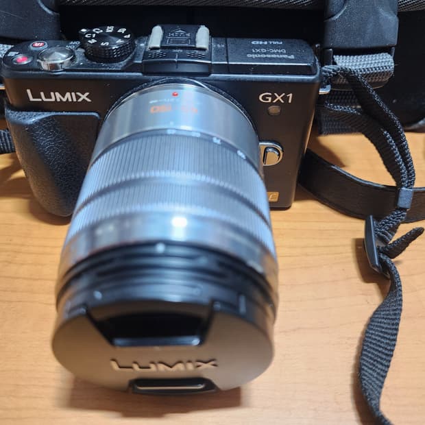 파나소닉 루믹스 DMC-GX1 미러리스 카메라