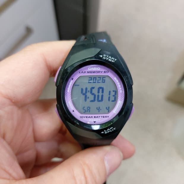 카시오 랩 메모리 60 