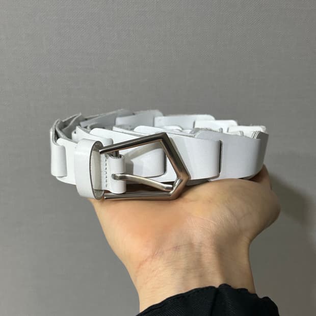 P Link Belt_white