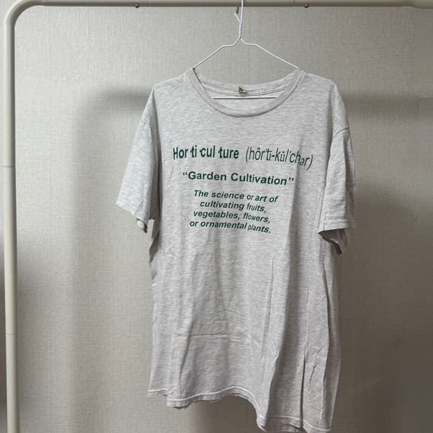 HANES 00s 90s vintage Tee