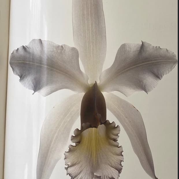 개인 결제창