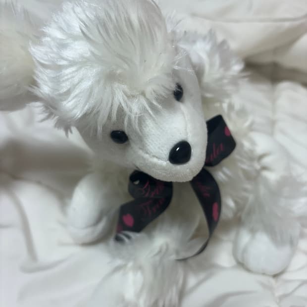 갸루 트랄라라 강아지 인형 가방