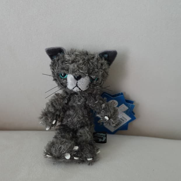 스크래치 고양이