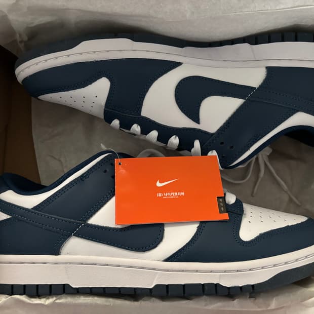 NIKE DUNK LOW RETRO VALERIAN BLUE 280