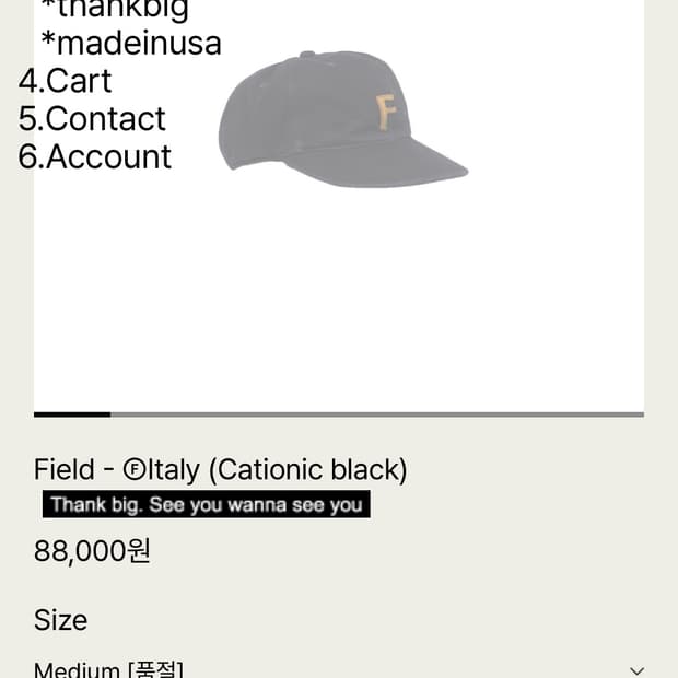 테프스토어즈 Field - Oltaly (Cationic black)