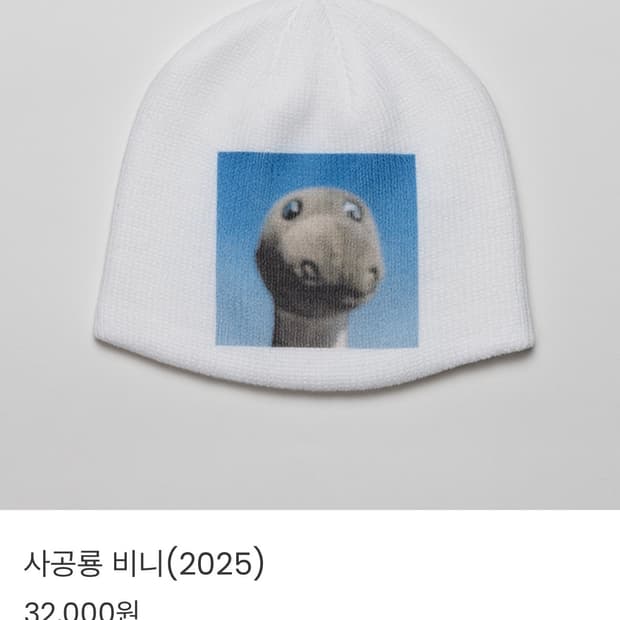 4080 사공룡 비니 /택포