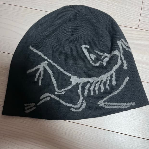 아크테릭스 비니