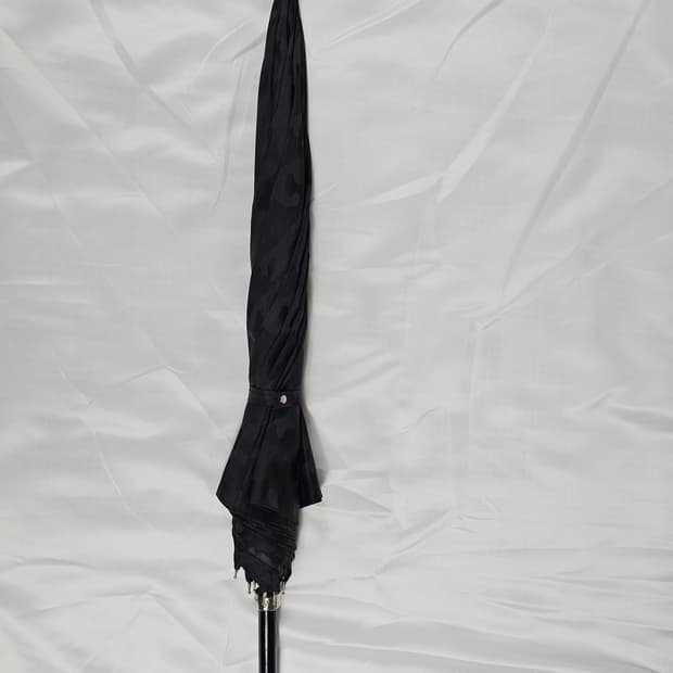 파소티엄브렐라우산