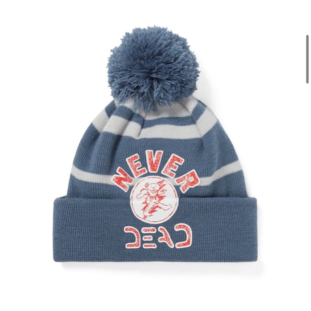 디스이즈네버댓 그레이트풀데드 비니