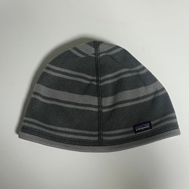 파타고니아 비니