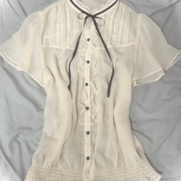 빈티지 양산형 페어리 시스루 블라우스 사와코깔 양지뢰 사토미깔 stc