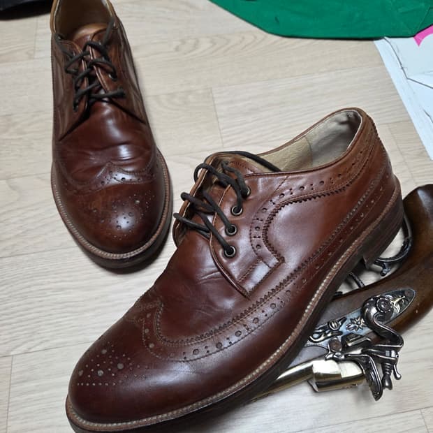 EIRENE 윙팁 구두 더비 로퍼 수트 브라운 