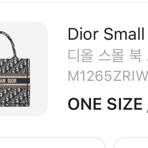 디올 북토트 스몰 