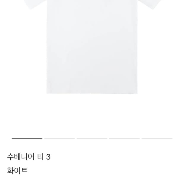포스트아카이브팩션 수베니어 소나무티 s