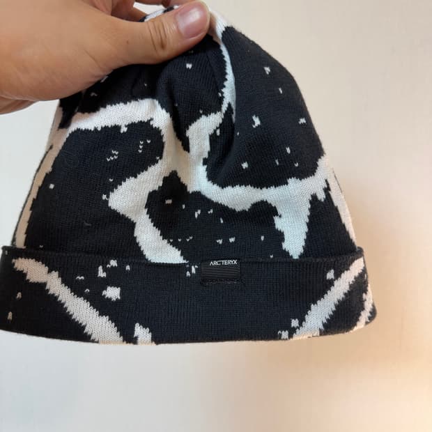 아크테릭스 그로토 비니