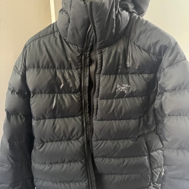 아크테릭스 토륨 후디 라지 급처분