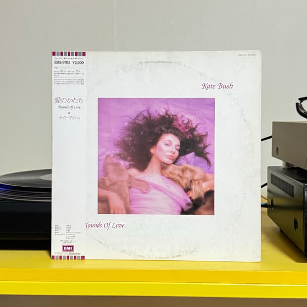 Kate Bush 기묘한 이야기 LP 판매해요