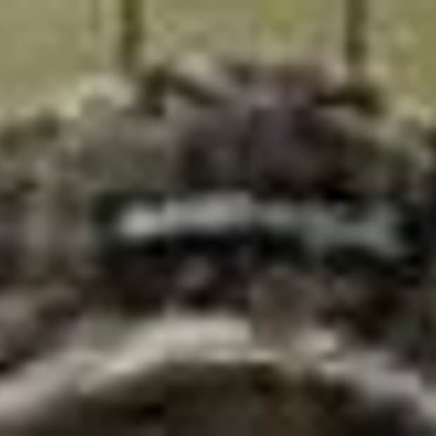 슈프림 호피 캡