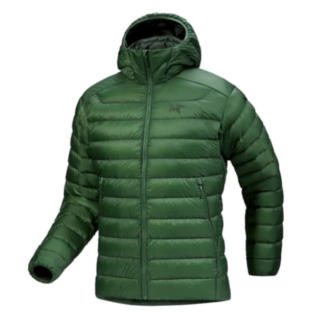 아크테릭스 세륨 패딩 XL 녹색