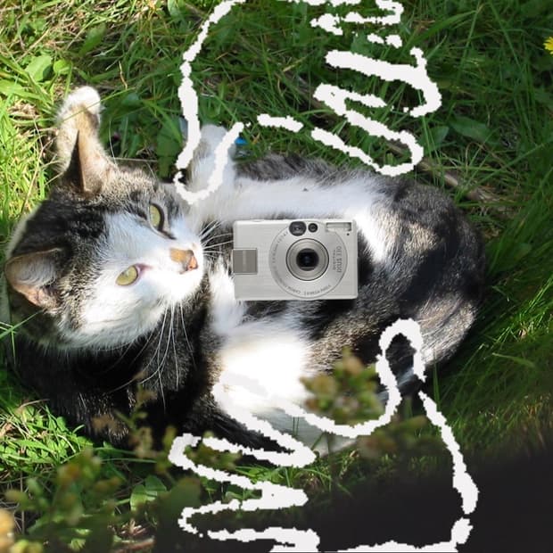 작례_캐논 Canon ixus 330