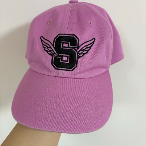 슈프림 윙스 로고 6-패널 핑크 