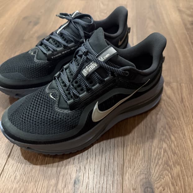 [290] 나이키 페가수스 프리미엄 앤트러사이트 애션 슬레이트