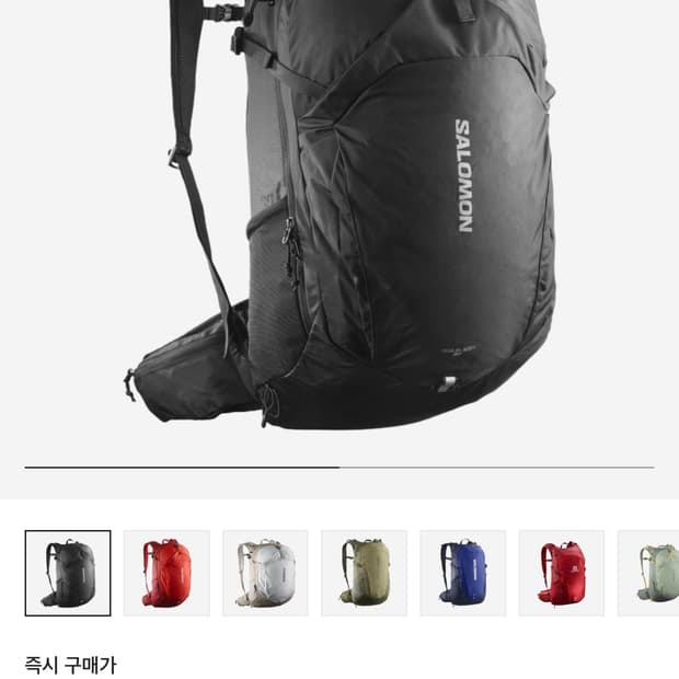 살로몬 트레일 블레이저 30