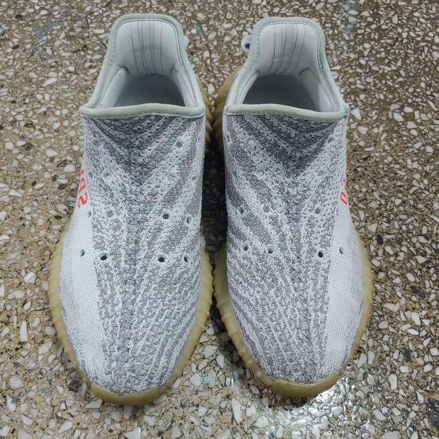 이지부스트 블루틴트 245~250