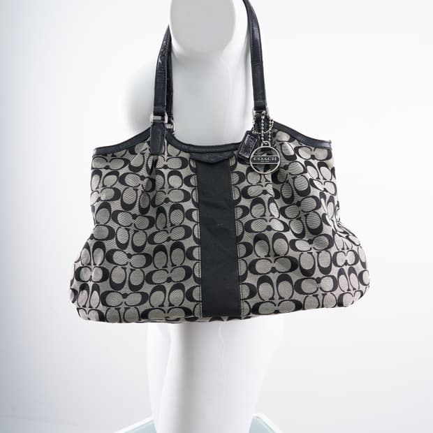 Coach 데이빈 시그니처 스트라이프 도트백