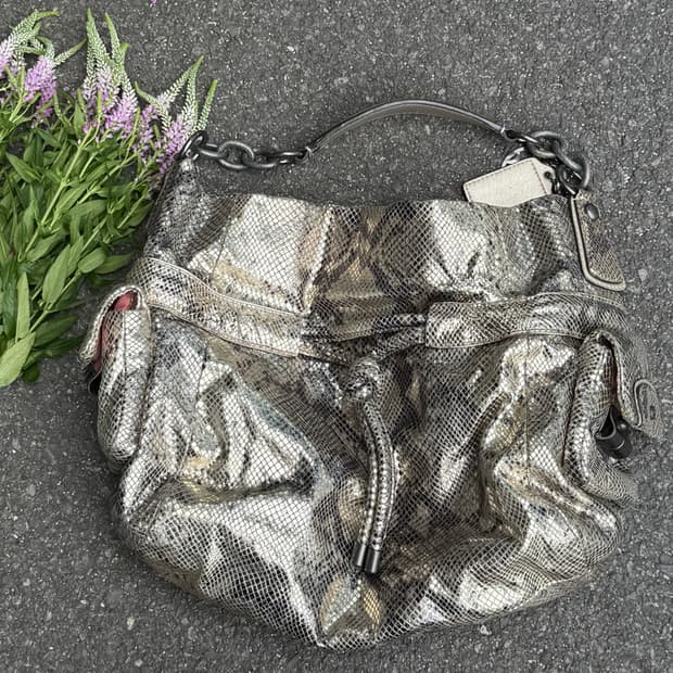 Coach Kristin Python Metallic Hobo