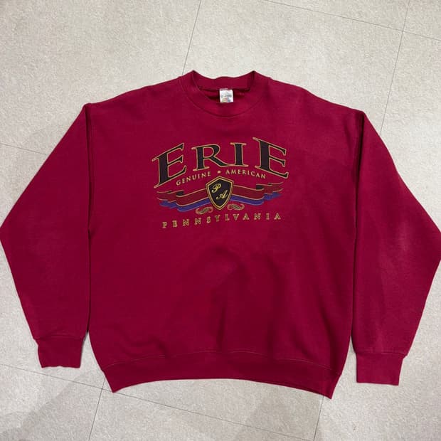 90s 프룻 오브 더 룸 스웻셔츠