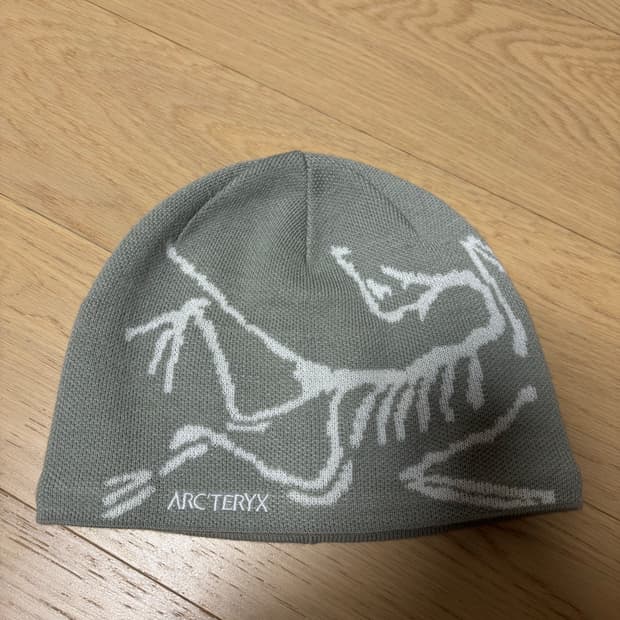 아크테릭스 비니