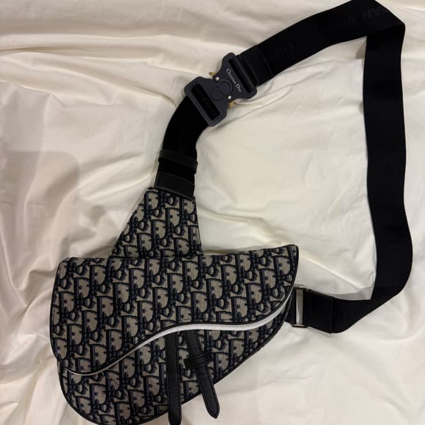 디올 오블리크 새들백