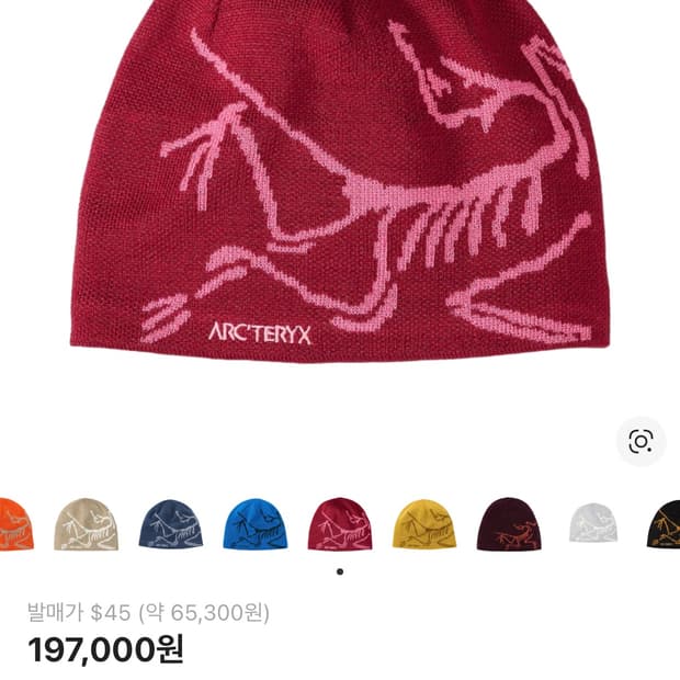 아크테릭스 비니