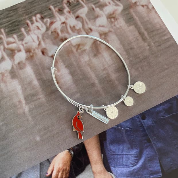 Alex and Ani 카디널 참 뱅글 (실버톤) 팔찌