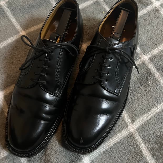 일본 리갈 플레인토 더비 255