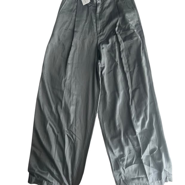 Dries van noten pepper pants