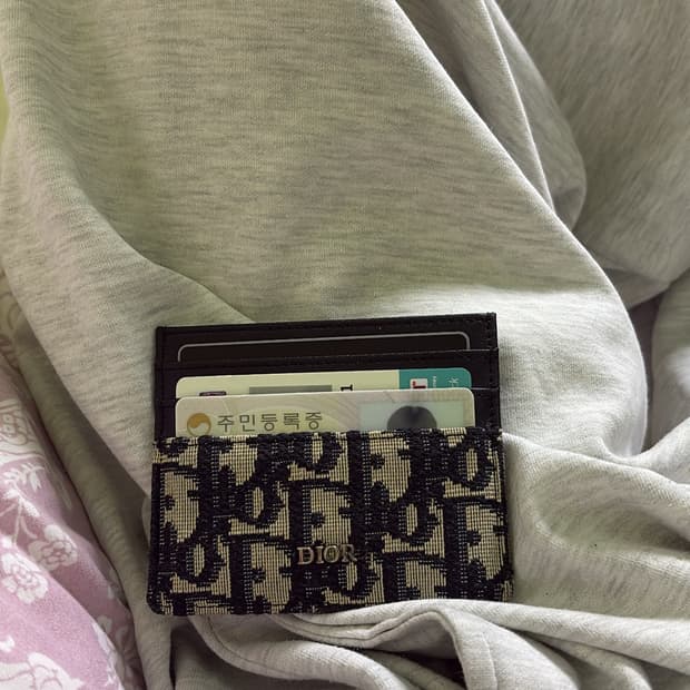 디올 오블리크 카드지갑