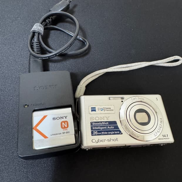 소니 사이버샷 dsc-w530 디카