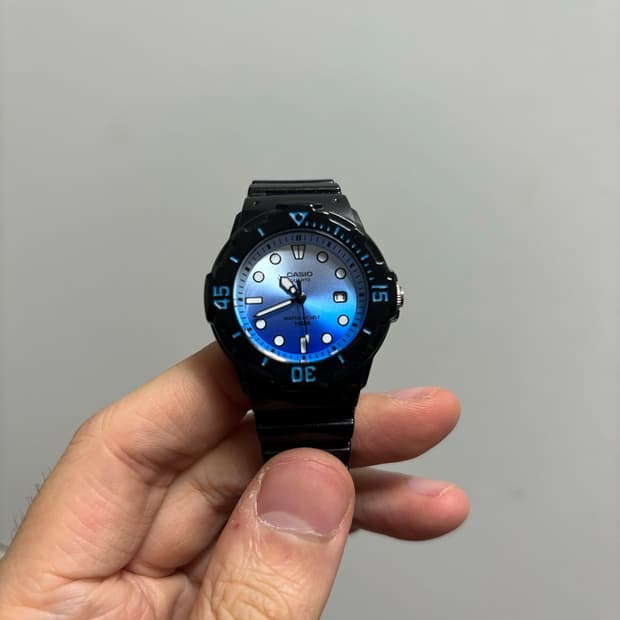 카시오 LRW-200H-2EVDF