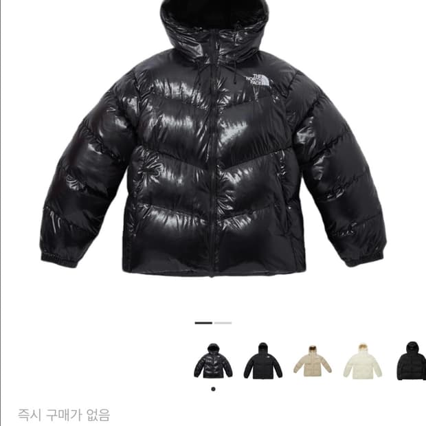 노스페이스 화이트 라벨 네오 프리 패딩 XL