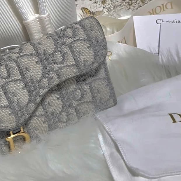 디올 오블리크 새들 카드지갑 그레이