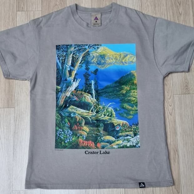 나이키 ACG 그래픽 티셔츠 100