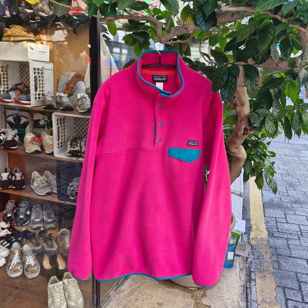 Z-166 파타고니아 신칠라 