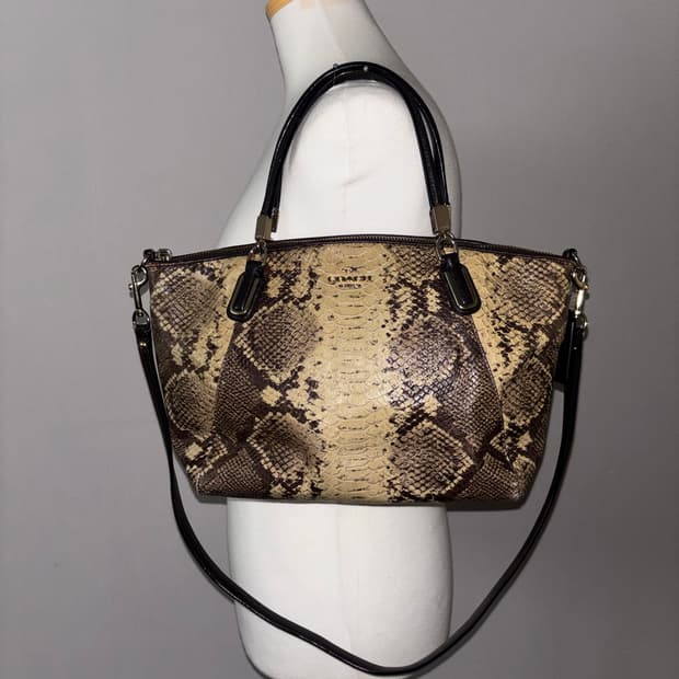 Coach snake pattern bag
